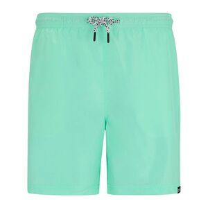 Regatta Mens Mackleyna Swim Shorts / Ice Green